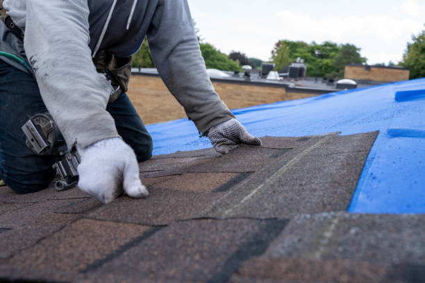 Professional Roofing Contractor in St Hedwig, TX